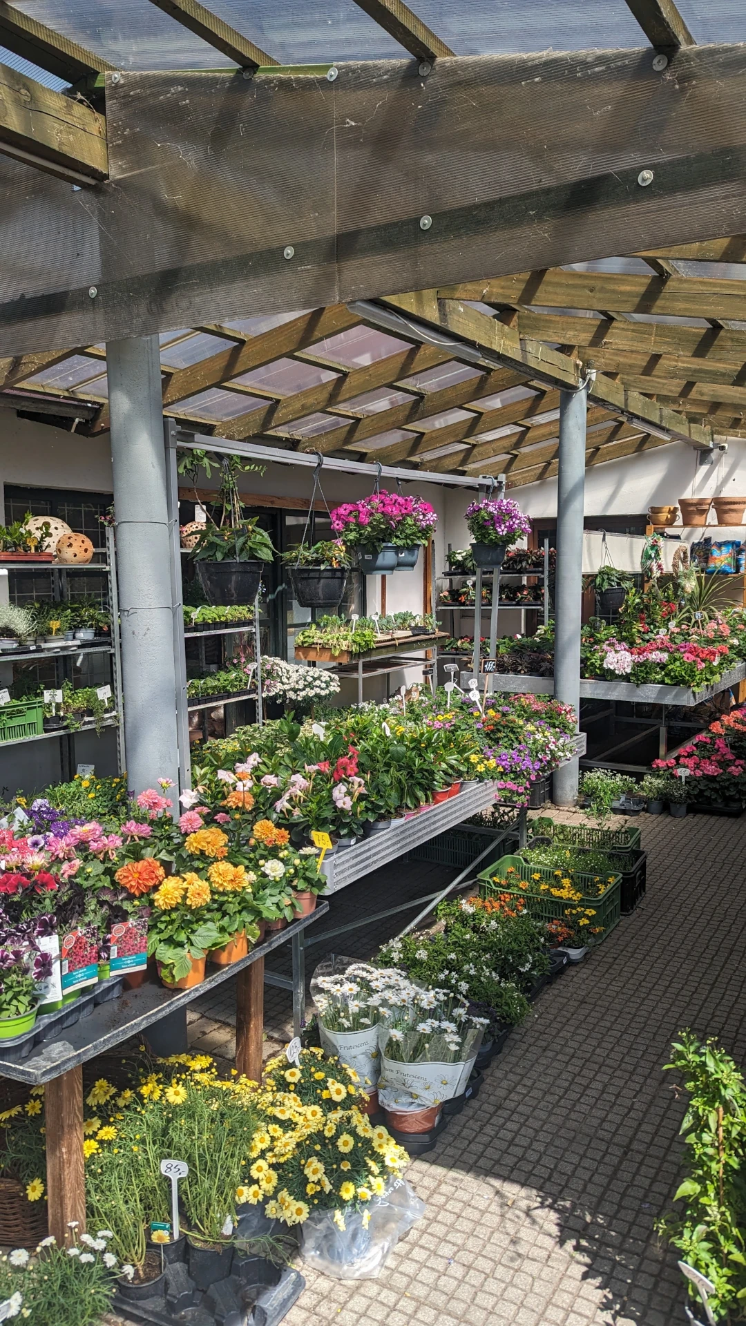 Zahradnictví Šrámek - květiny